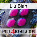 Liu Bian 02
